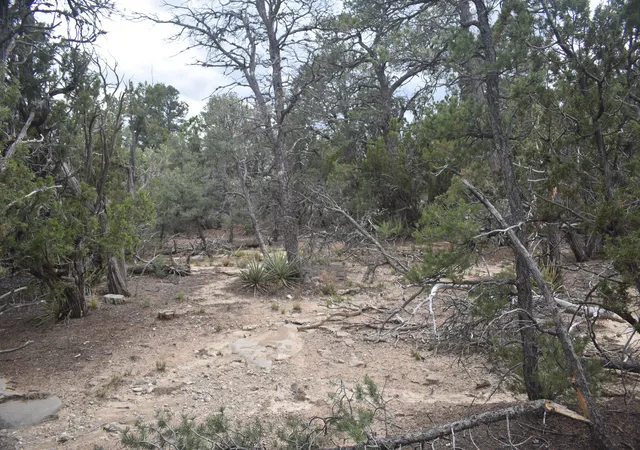 Homes for sale in Edgewood, NM | 184 Sunlight Rd, Edgewood, NM 87015 | MLS# 1105185
