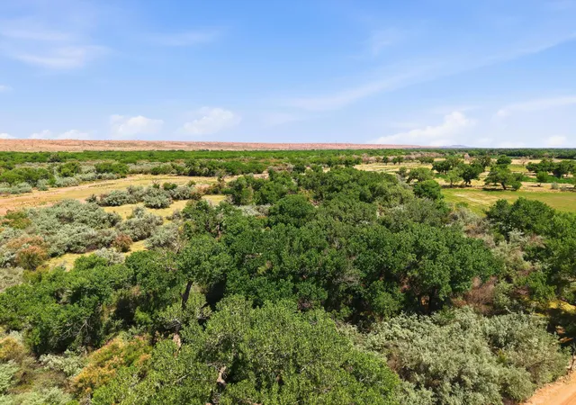 Homes for sale in Veguita, NM | Mrgcd Map 124 Tract 24A1A,22A,23A, Veguita, NM 87062 | MLS# 1105196