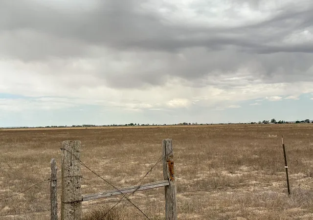 Photo 24 of Sale Pending at Ice Plant Rd, Estancia, NM 87016 | MLS# 1105231 | Listing updated on 2026-08-26