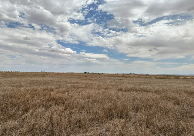 Photo 4 of Sale Pending at Ice Plant Rd, Estancia, NM 87016 | MLS# 1105231 | Listing updated on 2026-08-26