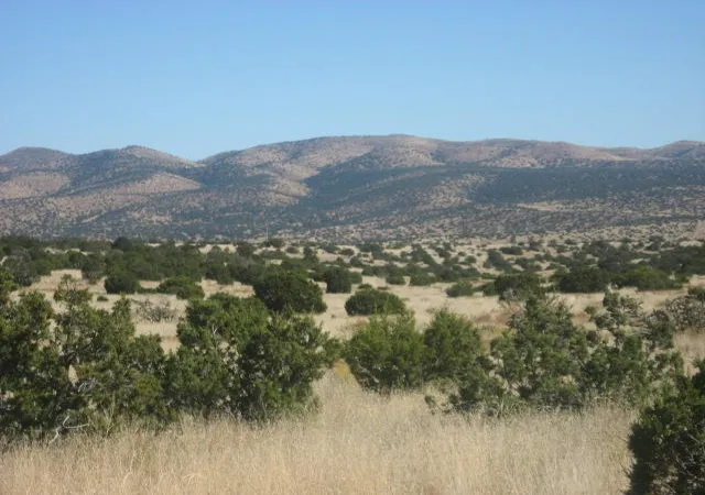Homes for sale in Magdalena, NM | Lot 188 Pinon Springs Ranches, Magdalena, NM 87825 | MLS# 1105245