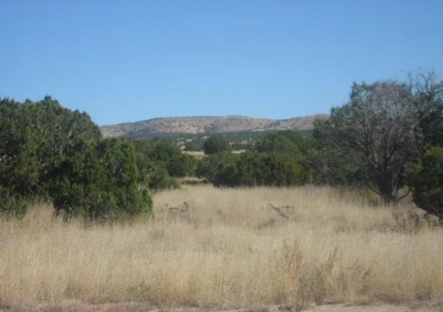 Homes for sale in Magdalena, NM | Lot 188 Pinon Springs Ranches, Magdalena, NM 87825 | MLS# 1105245