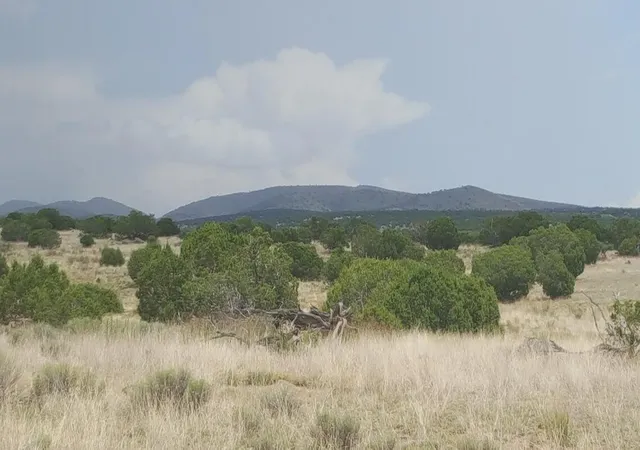 Homes for sale in Magdalena, NM | Lot 188 Pinon Springs Ranches, Magdalena, NM 87825 | MLS# 1105245