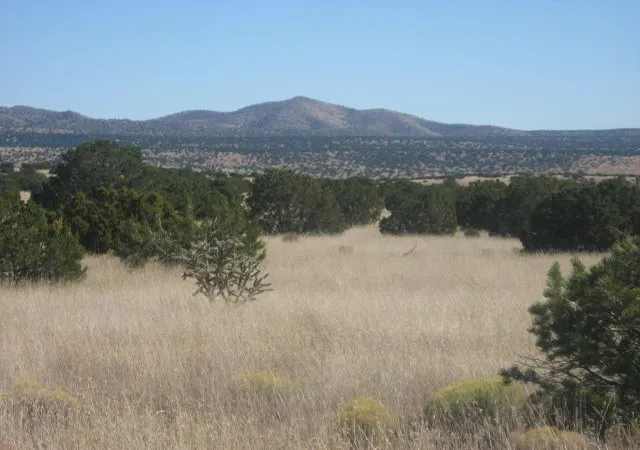 Homes for sale in Magdalena, NM | Lot 188 Pinon Springs Ranches, Magdalena, NM 87825 | MLS# 1105245
