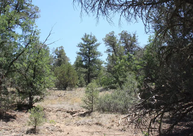 Homes for sale in Ramah, NM | Lots 4-6 Bodean Rd, Ramah, NM 87321 | MLS# 1105256
