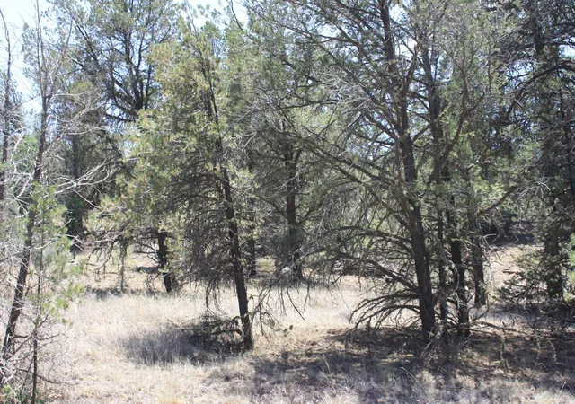 Homes for sale in Ramah, NM | Lots 4 6 Bodean Rd, Ramah, NM 87321 | MLS# 1105256