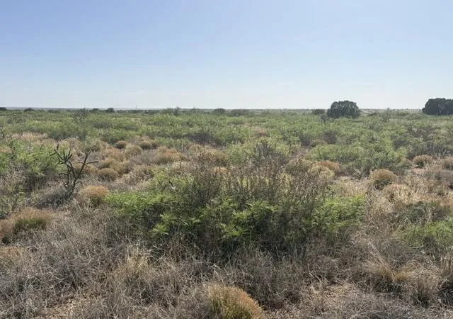 Photo 1 of Land for sale at Lot 48 State Rd 203, Fort Sumner, NM 88119 | MLS# 1105359 | Listing updated on 2026-07-22