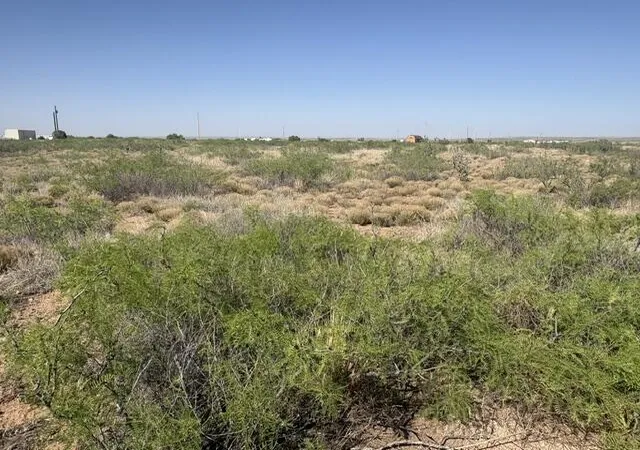 Photo 3 of Land for sale at Lot 48 State Rd 203, Fort Sumner, NM 88119 | MLS# 1105359 | Listing updated on 2026-07-22