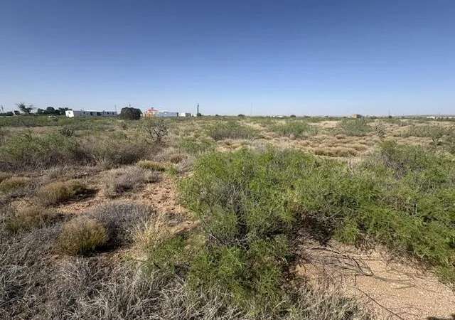 Photo 4 of Land for sale at Lot 48 State Rd 203, Fort Sumner, NM 88119 | MLS# 1105359 | Listing updated on 2026-07-22