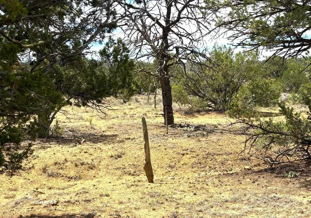 Homes for sale in Pie Town, NM | Lot 4 Slurry Rd, Pie Town, NM 87827 | MLS# 1105395
