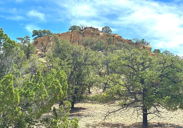 Homes for sale in Pie Town, NM | Lot 4 Slurry Rd, Pie Town, NM 87827 | MLS# 1105395
