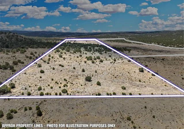 Homes for sale in Pie Town, NM | Lot 4 Slurry Rd, Pie Town, NM 87827 | MLS# 1105395