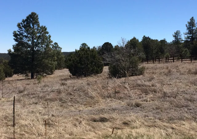 1st image of 10 Woodland Ct, Tijeras, NM 87059 | MLS# 1105408