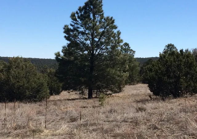 3rd image of 10 Woodland Ct, Tijeras, NM 87059 | MLS# 1105408