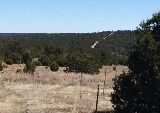 4th image of 10 Woodland Ct, Tijeras, NM 87059 | MLS# 1105408