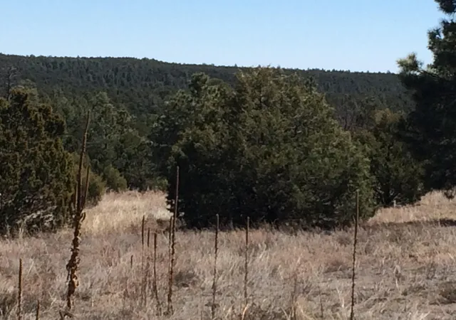 5th image of 10 Woodland Ct, Tijeras, NM 87059 | MLS# 1105408