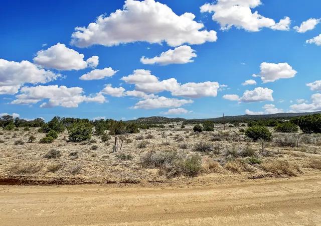 Homes for sale in Pie Town, NM | Lot 2 Slurry Rd Rd, Pie Town, NM 87827 | MLS# 1105414