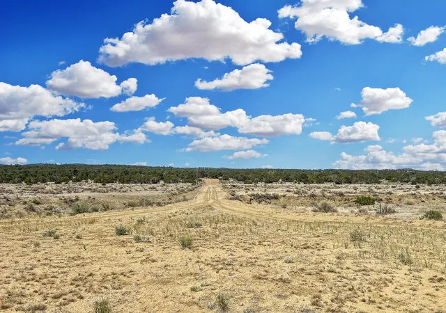 Homes for sale in Pie Town, NM | Lot 2 Slurry Rd Rd, Pie Town, NM 87827 | MLS# 1105414