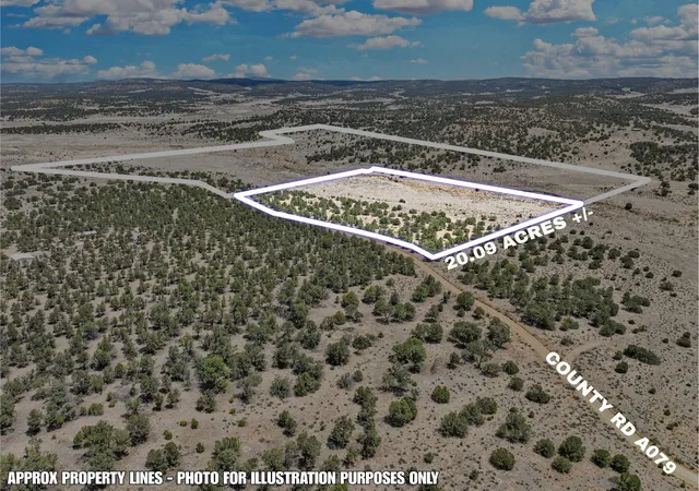 Homes for sale in Pie Town, NM | Lot 3 Slurry Rd, Pie Town, NM 87827 | MLS# 1105419