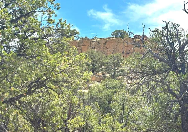 Homes for sale in Pie Town, NM | Lot 3 Slurry Rd, Pie Town, NM 87827 | MLS# 1105419