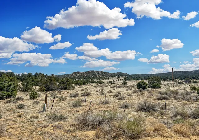 Homes for sale in Pie Town, NM | Lot 3 Slurry Rd, Pie Town, NM 87827 | MLS# 1105419