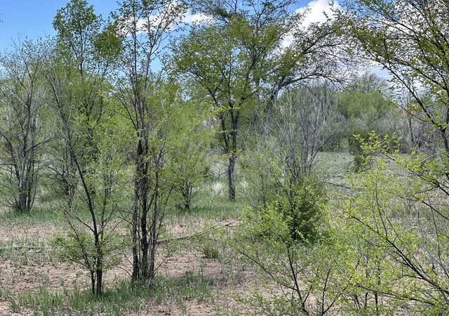 2nd image of 412 S Grand Ave, Las Vegas, NM 87701 | MLS# 1105534