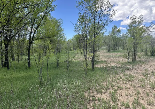 4th image of 412 S Grand Ave, Las Vegas, NM 87701 | MLS# 1105534