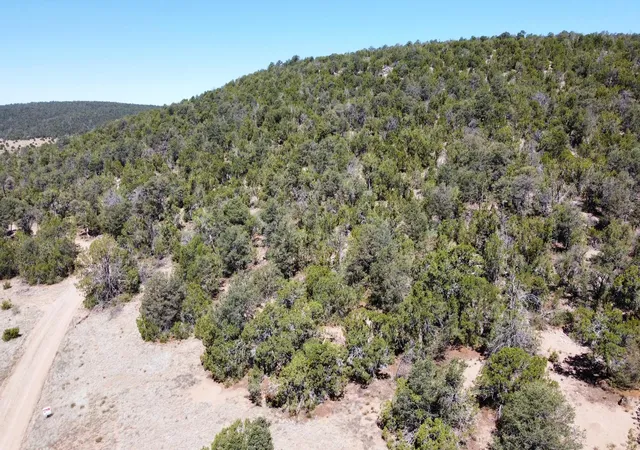 Homes for sale in Edgewood, NM | Mountain Valley Dr, Edgewood, NM 87015 | MLS# 1105642