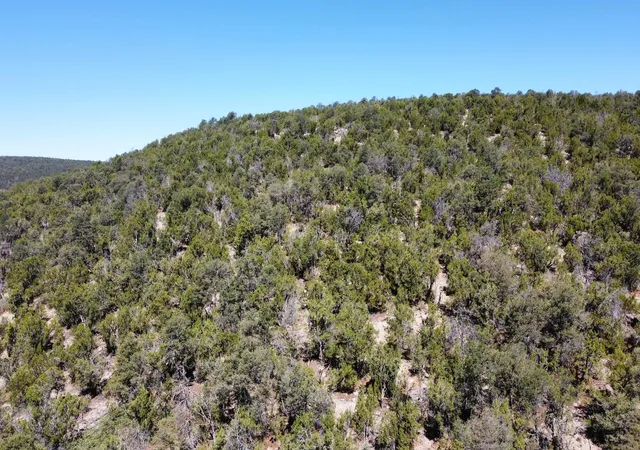 Homes for sale in Edgewood, NM | Mountain Valley Dr, Edgewood, NM 87015 | MLS# 1105642
