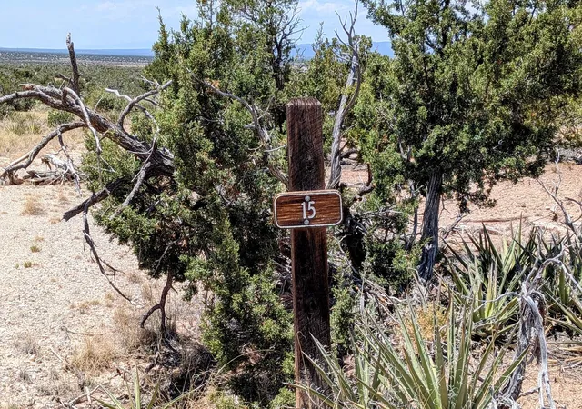 Photo 4 of Land for sale at 15 Nana Trl, Mountainair, NM 87036 | MLS# 1105649 | Listing updated on 2026-08-17