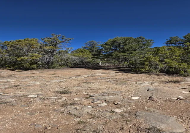 Photo 3 of Land for sale at Chico Rd #R015120, Edgewood, NM 87015 | MLS# 1105656 | Listing updated on 2026-07-21