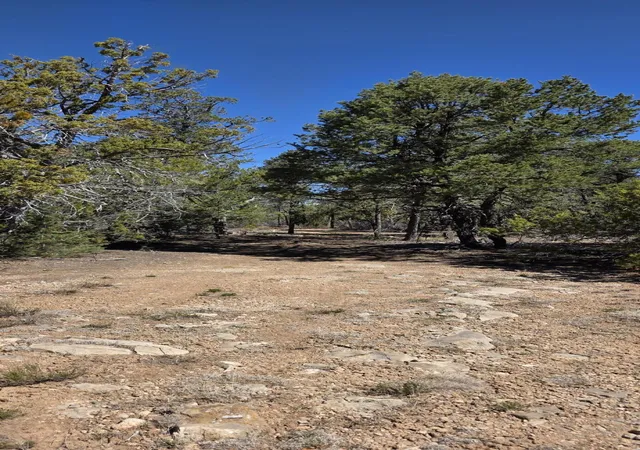 8th image of Chico Rd #R015120, Edgewood, NM 87015 | MLS# 1105656
