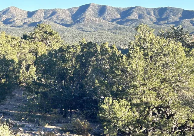Photo 4 of Land for sale at 5 Broken Arrow Pl, Sandia Park, NM 87047 | MLS# 1105673 | Listing updated on 2026-06-17