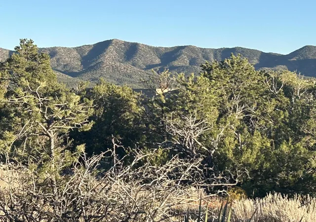 Photo 7 of Land for sale at 5 Broken Arrow Pl, Sandia Park, NM 87047 | MLS# 1105673 | Listing updated on 2026-06-17