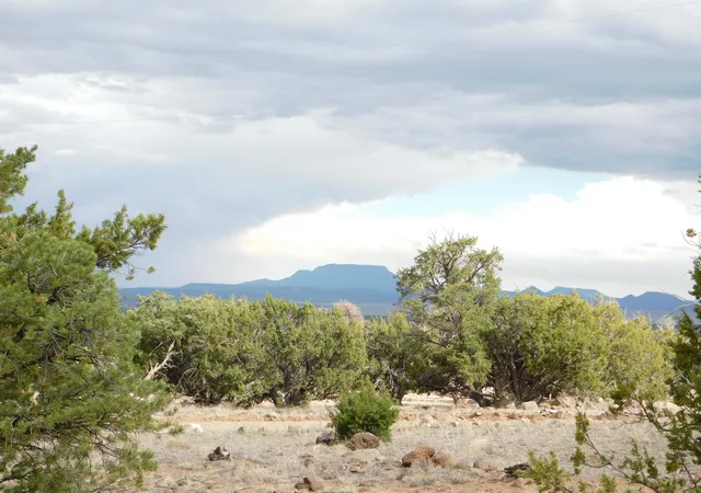 Homes for sale in Quemado, NM | Lot 217 Squaw Pass, Quemado, NM 87829 | MLS# 1105692