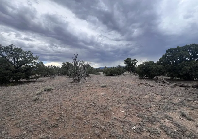 Homes for sale in Quemado, NM | Lot 217 Squaw Pass, Quemado, NM 87829 | MLS# 1105692