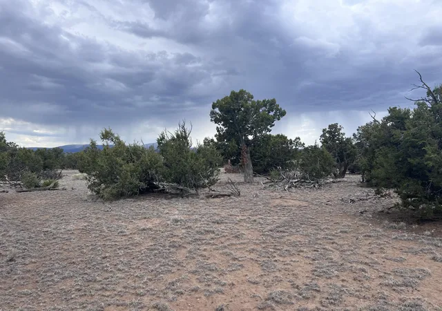 Homes for sale in Quemado, NM | Lot 217 Squaw Pass, Quemado, NM 87829 | MLS# 1105692