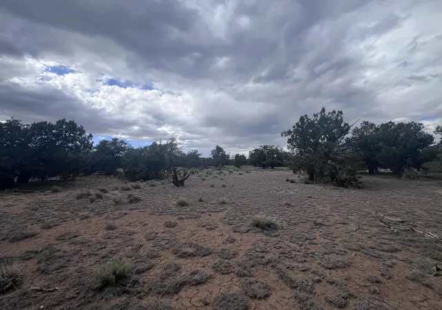 Homes for sale in Quemado, NM | Lot 217 Squaw Pass, Quemado, NM 87829 | MLS# 1105692