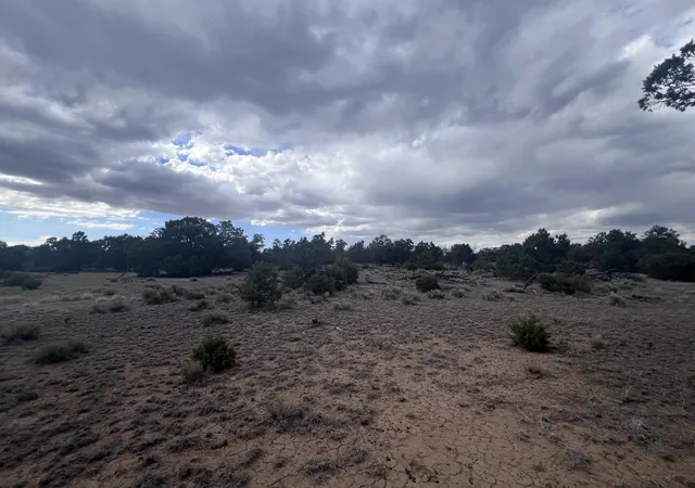 Homes for sale in Quemado, NM | Lot 217 Squaw Pass, Quemado, NM 87829 | MLS# 1105692