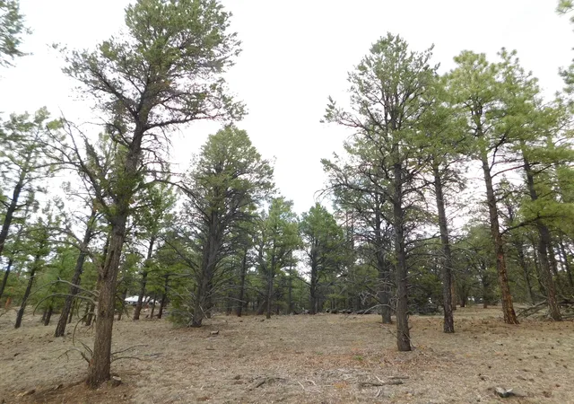 Homes for sale in Quemado, NM | S2 Leon Dr, Quemado, NM 87829 | MLS# 1105695