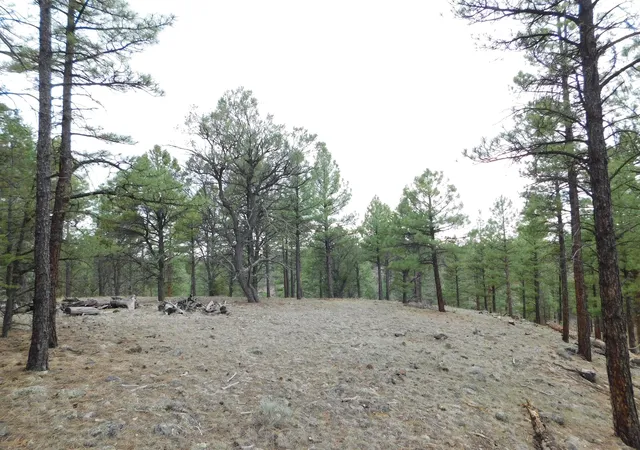 Homes for sale in Quemado, NM | S2 Leon Dr, Quemado, NM 87829 | MLS# 1105695