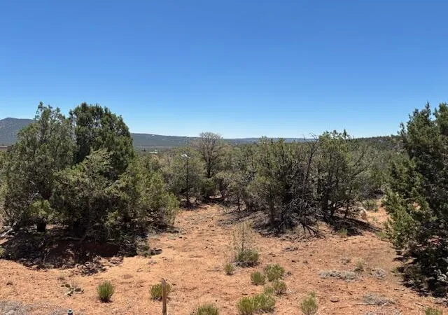 Homes for sale in Sandia Park, NM | 14 Galisteo Ct, Sandia Park, NM 87047 | MLS# 1105713