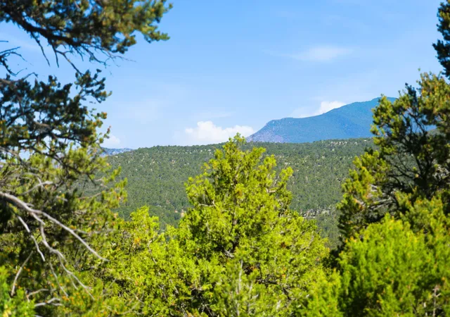 Photo 3 of Land for sale at 1 Duncan Dr, Tijeras, NM 87059 | MLS# 1105749 | Listing updated on 2026-09-01