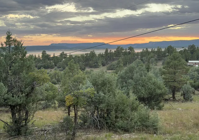 Homes for sale in Los Ojos, NM | 000 Canyon Road, Los Ojos, NM 87551 | MLS# 1105915