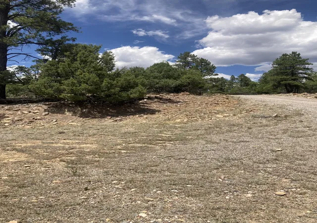 Homes for sale in Los Ojos, NM | 000 Canyon Road, Los Ojos, NM 87551 | MLS# 1105915