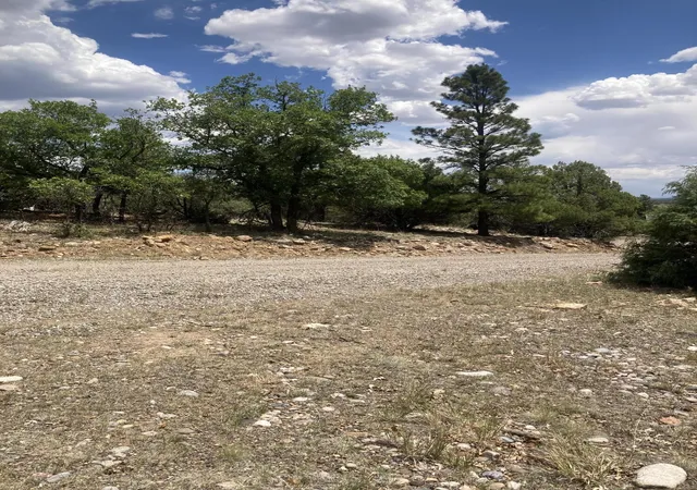 Homes for sale in Los Ojos, NM | 000 Canyon Road, Los Ojos, NM 87551 | MLS# 1105915