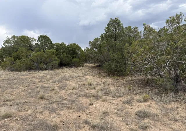 Photo 2 of Land for sale at Lot 24 Stagecoach Trl, Sandia Park, NM 87047 | MLS# 1105917 | Listing updated on 2026-07-21