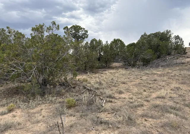 Photo 2 of Land for sale at Lot 24 Stagecoach Trl, Sandia Park, NM 87047 | MLS# 1105917 | Listing updated on 2026-07-21