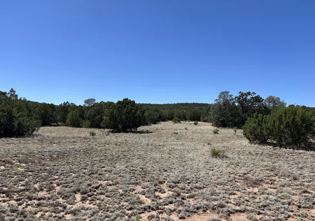 Homes for sale in Tajique, NM | Dos Lunas Dr, Tajique, NM 87016 | MLS# 1105987