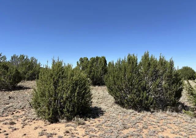 Homes for sale in Tajique, NM | Dos Lunas Dr, Tajique, NM 87016 | MLS# 1105987